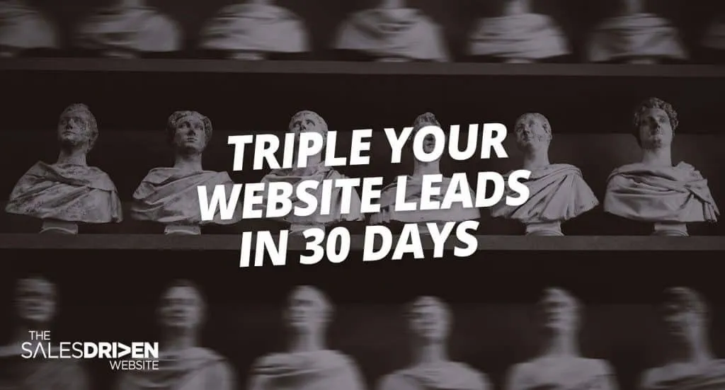 Triple Your Website Leads In 30 Days