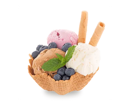 A bowl of ice cream — something cold, for a cold visitor